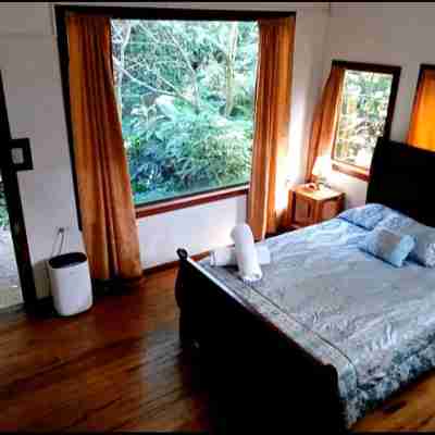 Roots and Wings Spacious House with Forest Views and Private Garden Rooms