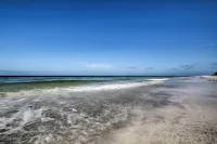 Pool Access! Indian Shores Beachfront Condo - Holiday Apartments