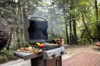Fairytale Themed Secluded Cabin- Pets ok, King Bed, Fast Wi-Fi!