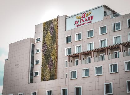 Hotel Avinash International
