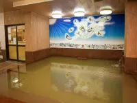 Tosaryu Onsen Sanyoso - balneario
