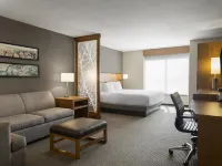 Hyatt Place West des Moines/Jordan Creek - Pet friendly