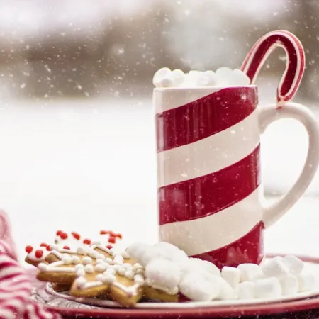 Holiday Inn & Suites LAFAYETTE NORTH by IHG