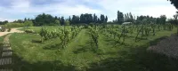 Safranière des Sorgues - Villaer