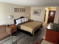 Scotland Neck Inn - Pet friendly