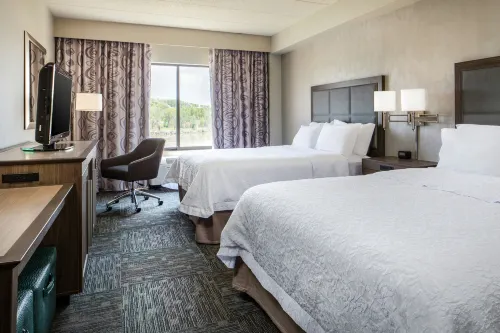Hampton Inn Council Bluffs - Wifi