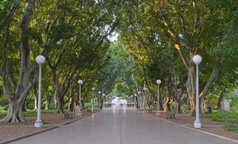 a tree - lined path with white lights and benches , leading to a large building in the distance at Airport Hotel Sydney