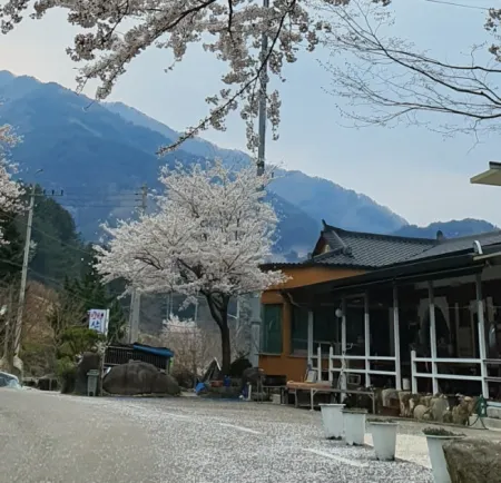 Hamyang Mountain Village Pension (Jirisan)