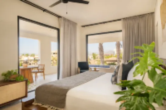1 Homes Preview Cabo