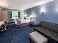 Microtel Inn & Suites by Wyndham Greenville / Woodruff Rd Hotels near Brewery 85