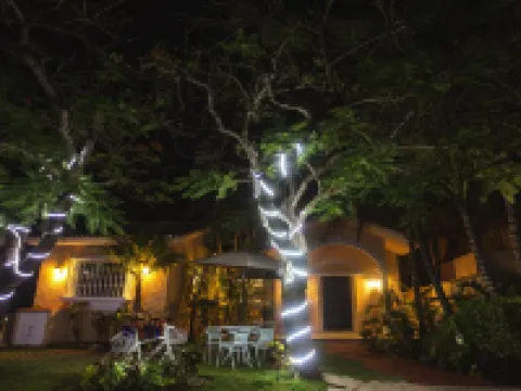 Chez Waffle Hotel Hotels in Puerto Aventuras