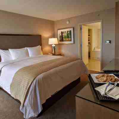 DoubleTree by Hilton Hotel Pittsburgh - Green Tree Rooms