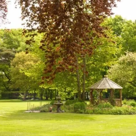Beech View
