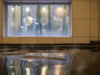 Superhotel Gotenba 1 Hotels in Gotemba