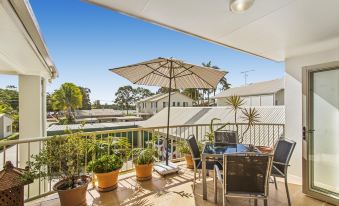 Noosa River Palms