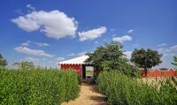 Treebo Desert Harmony Camp Hotel a Jaisalmer