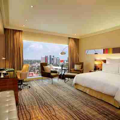 金奈希爾頓飯店 Rooms