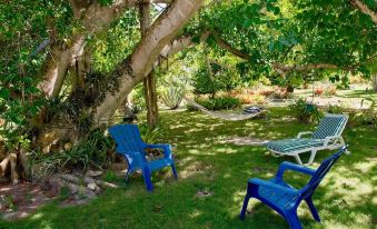 Poponi House by Eleuthera Vacation Rentals