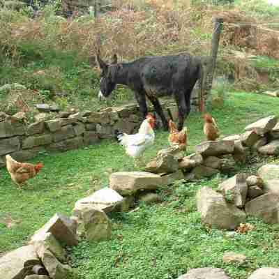 Casa Rural Haitzetxea Hotel Exterior
