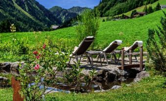 a grassy hillside with two lounge chairs and a small pond , surrounded by lush greenery at Hotel Steinbock