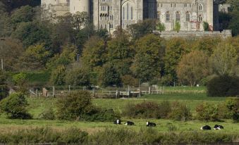 a castle - like building is perched on a hill , surrounded by lush green fields and trees at Arundel