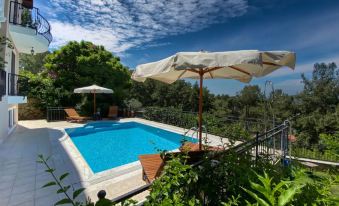 Amazing Villa w/ Private Pool & BBQ in Gocek