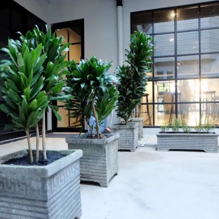 Livinn Hostel City Center Surabaya