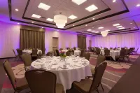 Hilton Garden Inn Pittsburgh Airport South-Robinson Mall Hotels in Robinson Township
