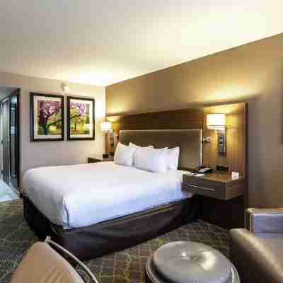 DoubleTree by Hilton Winston Salem - University Rooms