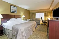 Wyndham Garden Ann Arbor Hoteles en Ann Arbor