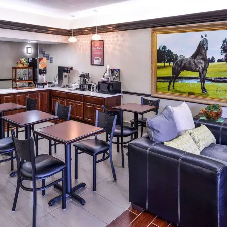 Econo Lodge Inn & Suites