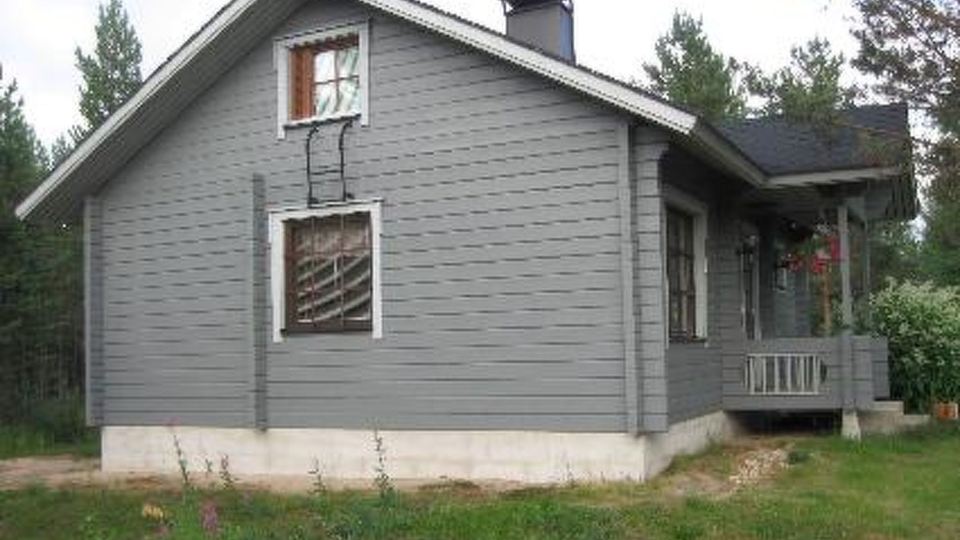 Mäntyaho