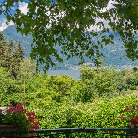 Nel Castagneto