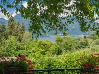 Nel Castagneto