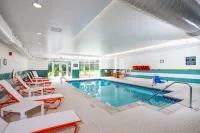 Holiday Inn & Suites DETROIT - TROY by IHG - Pools