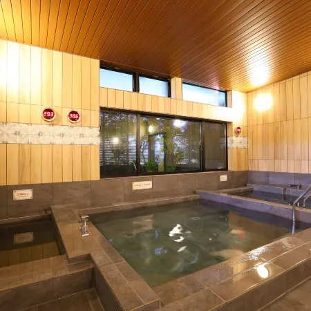 Hotel New Umeya