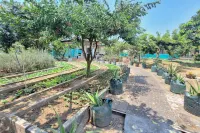 Papa Kana Farm RedPartner @ Pacet Mojokerto - 駐車場