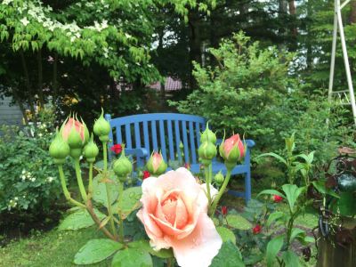 庭 プチホテル＆レストラン オールドエイジの写真