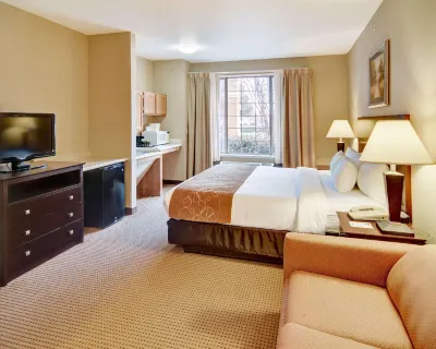 Comfort Suites Roanoke - Fort Worth North Hotels in Northlake