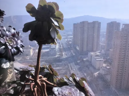 Sea of Flowers Homestay (Wenchang Road)