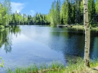 Purola Hotels in Polvijarvi