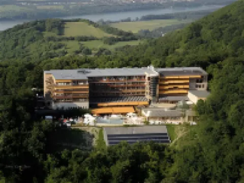 西爾瓦努斯健康會議酒店 維謝格拉德酒店