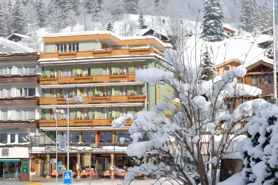 Hotel Central Wolter - Grindelwald Hotels near Gletscherschlucht