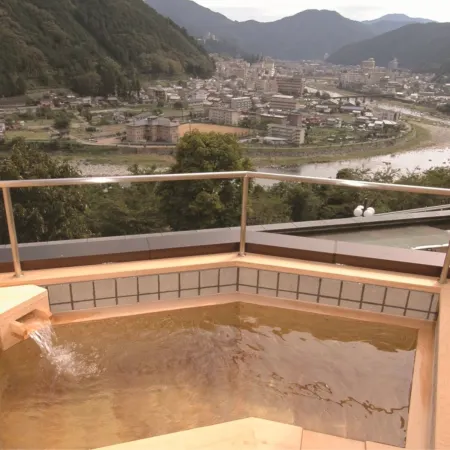 Hotel de Marronnier Gero Onsen