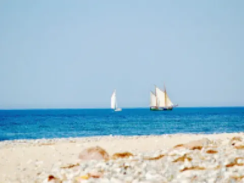 Vacation apartment Lee, experience peace and quiet on the natural beach of the Baltic Sea Hotels in Dranske