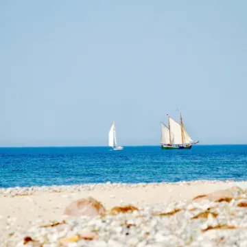Vacation apartment Lee, experience peace and quiet on the natural beach of the Baltic Sea