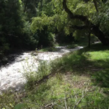 Relax at our River Front Cabin in Historic Upper Canyon