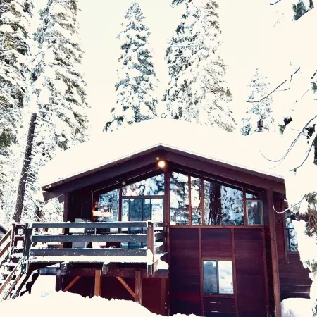 Luxe Tahoe Cabin - Midcentury Modern CLOSE to Lake, Palisades, Edge of Forest