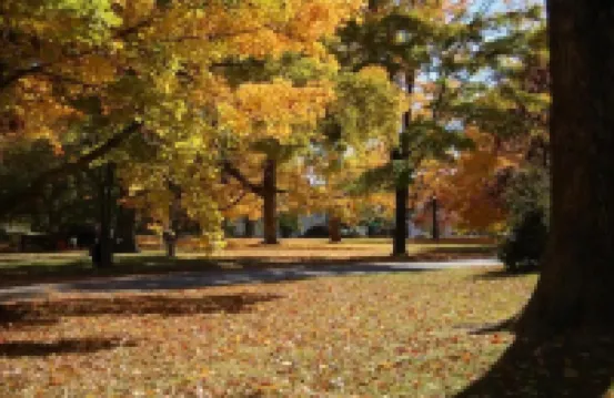 SteamPunk Bunk House and Intergalactic Way Station