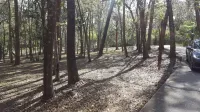 The Down-Under!  Wonderful Central Citrus Location!